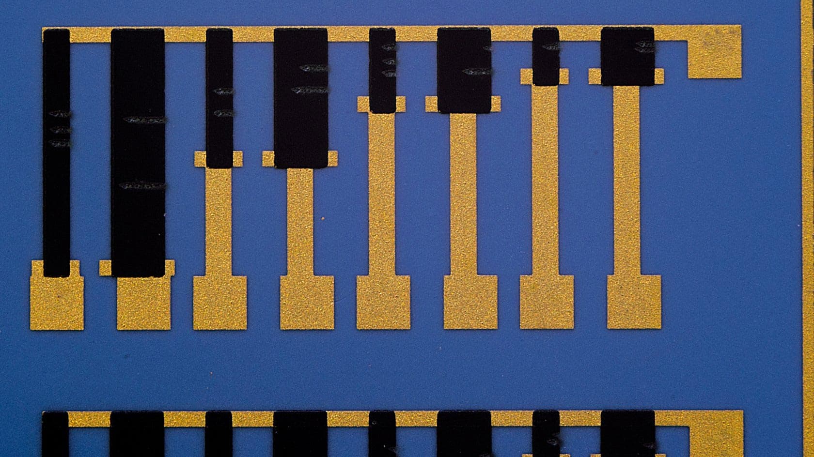 Comprehensive Project Scope and Training